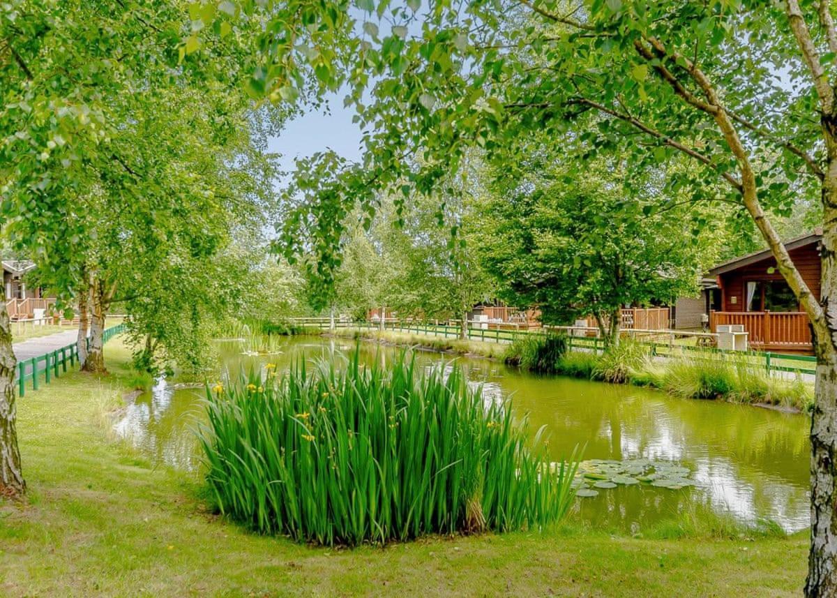 Sherwood Castle Holiday Forest Hotel Edwinstowe Exterior foto